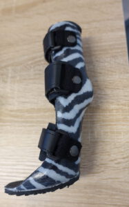 Polsbrace hond