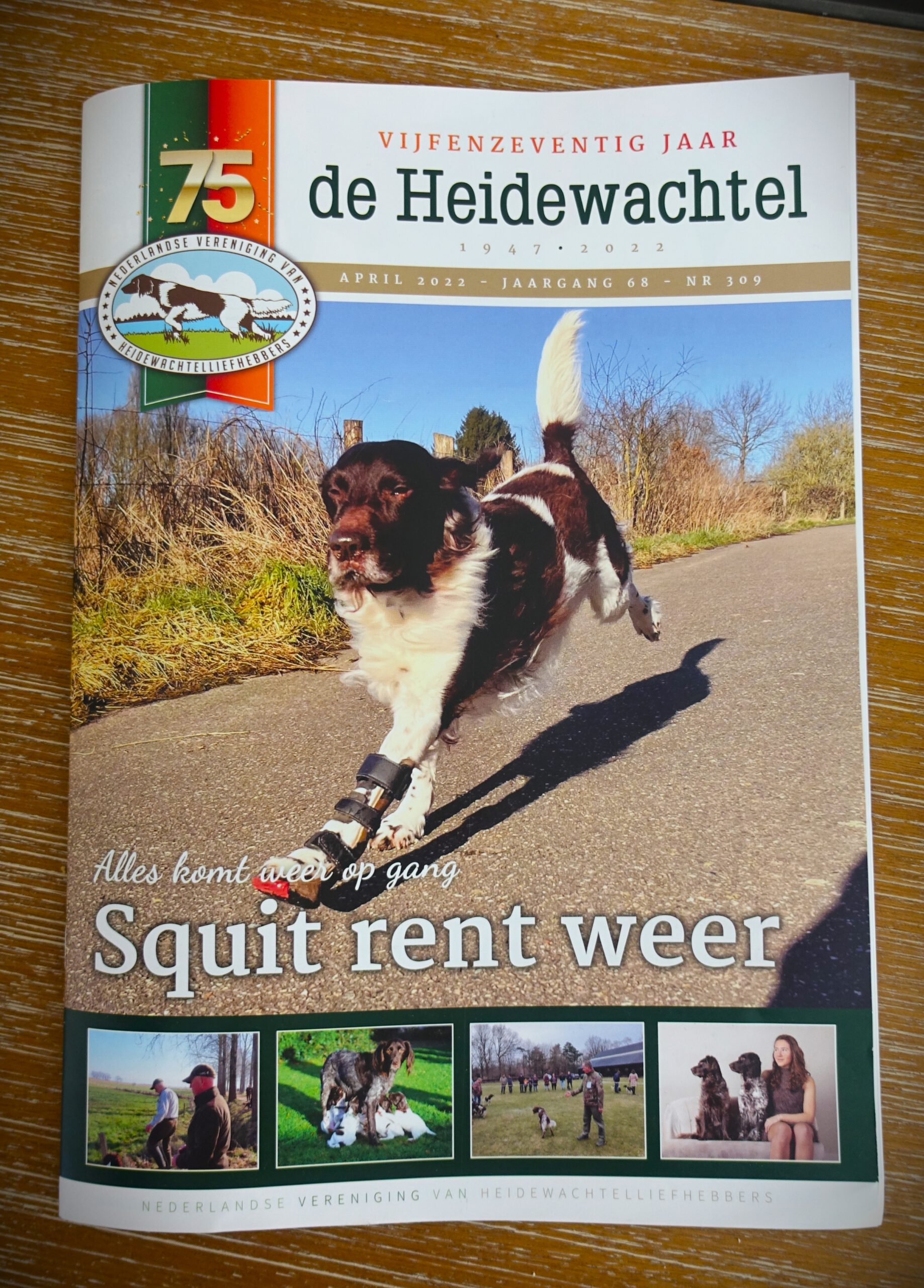 De Heidewachtel Vakblad
