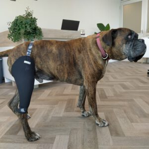 Kniebrace Rosco