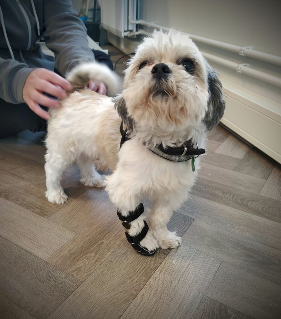 polsbrace tino