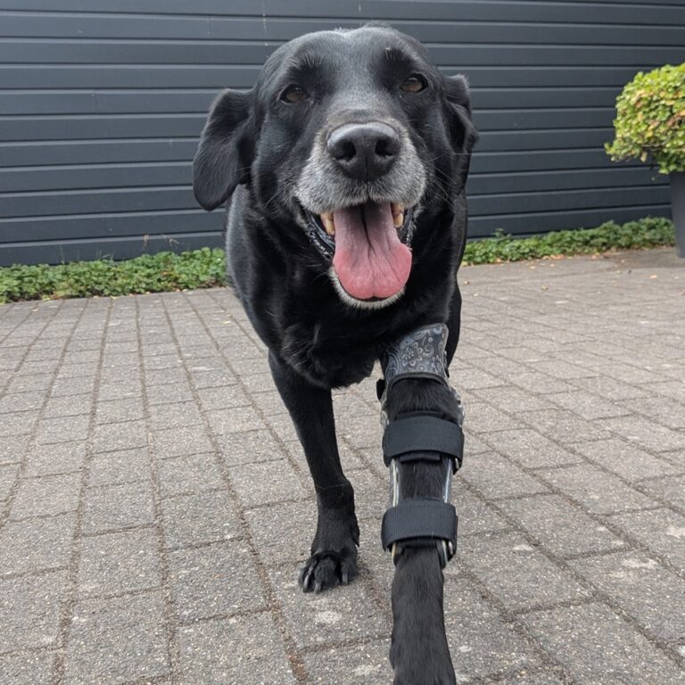 Elleboogbrace Joopie