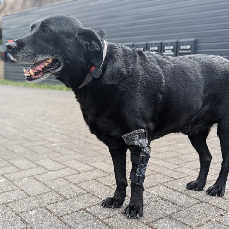 Elleboogbrace Joopie